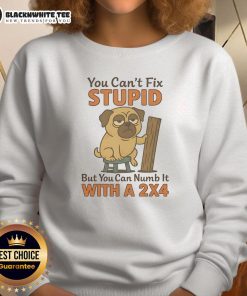 Top Pug sweatshirt featuring humorous quote: 'You can't fix stupid, but you can numb it with a 2x4' for dog lovers.
