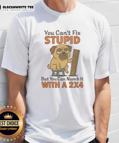 Alt Text: Top Pug 'You Can't Fix Stupid But You Can Numb It With A 24' T-Shirt design featuring a humorous pug graphic.