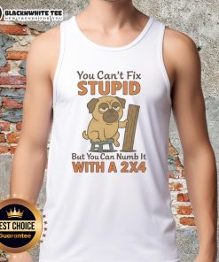 Funny tank top featuring a pug and the phrase 'You can't fix stupid, but you can numb it with a 2x4' for dog lovers.