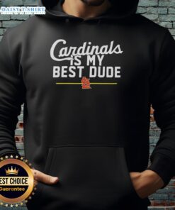 Top St. Louis Cardinals hoodie featuring 'My Best Dude' design, perfect for fans and casual wear.