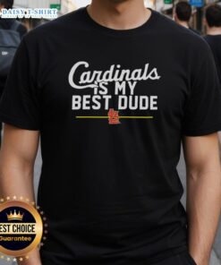 Alt Text: Top St. Louis Cardinals 'Is My Best Dude' T-Shirt featuring bold graphics and vibrant colors for fans.