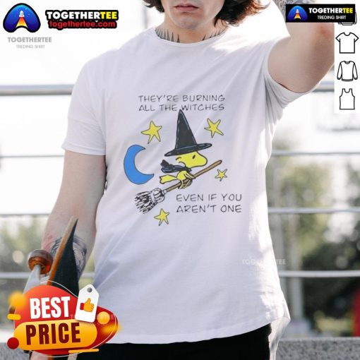 Top Woodstock Witch They'Re Burning All The Witches Even If You Aren'T One Halloween T-Shirt