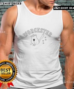 Top Worcester WooSox cat tank top featuring a playful design, perfect for fans and summer outings.
