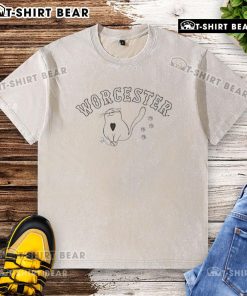 Top Worcester WooSox cat washed t-shirt featuring a playful design, perfect for fans of the Worcester Red Sox.