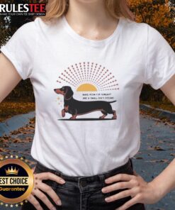 Awesome Dachshund dog enjoying sunlight, perfect for small dog lovers; stylish ladies tee featuring a playful design.