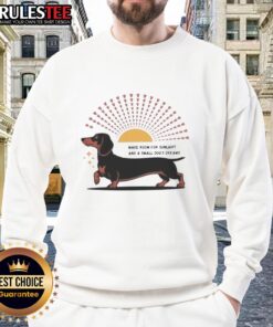 Awesome Dachshund dog sweatshirt featuring a cute design that celebrates small dogs and their sunny dreams.