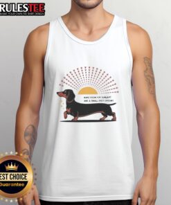Alt Text: Cute dachshund dog wearing a tank top that says 'Make Room For Sunlight And A Small Dog's Dreams' in bright colors.