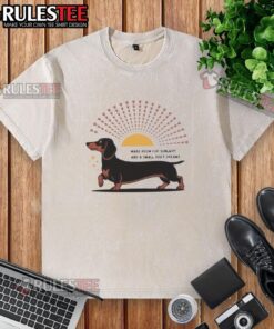 Adorable dachshund lounging in sunlight, showcasing the 'Make Room For Sunlight & Small Dogs' washed t-shirt design.
