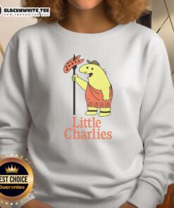 Awesome Little Charlie's sweatshirt featuring a colorful design, perfect for kids' casual wear and comfort.