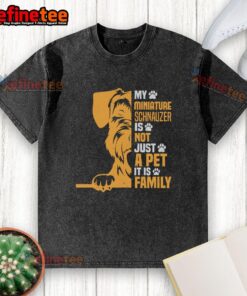 Awesome washed t-shirt featuring a Miniature Schnauzer with the phrase 'Not Just a Pet, Its Family' perfect for dog lovers.