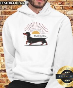 Alt Text: Happy dachshund dog wearing a Make Room For Sunlight And A Small Dog's Dreams hoodie, basking in the sun.