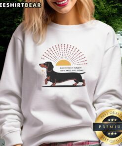 Alt Text: Happy Dachshund dog wearing a cozy sweatshirt that reads Make Room For Sunlight And A Small Dog's Dreams.