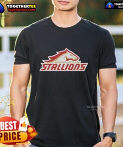 Alt Text: Hot Birmingham Stallions Lockup Logo T-Shirt featuring bold team logo on a stylish black background.