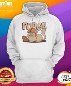 Hot Pudge the Cat wearing a cozy football hoodie, perfect for pet lovers and football fans alike.