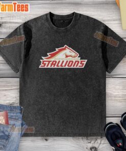 Alt Text: Nice Birmingham Stallions lockup logo on a washed t-shirt, showcasing a stylish and casual sports apparel design.