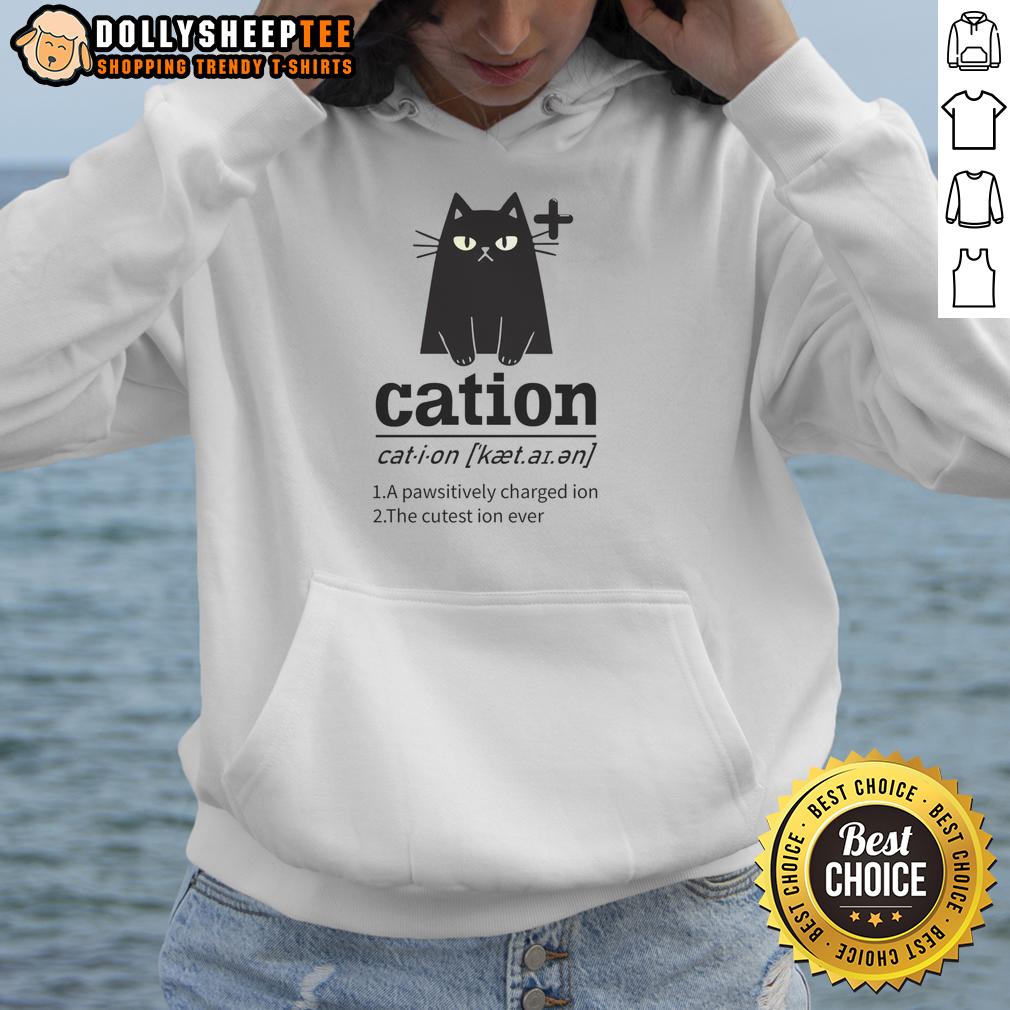 Nice Cation A Pawsitively Charged Ion The Cutest Ion Ever Cat Lover Hoodie Cozy cat lover hoodie featuring 'Nice-Cation: A Pawsitively Charged Ion' design, perfect for stylish feline enthusiasts.