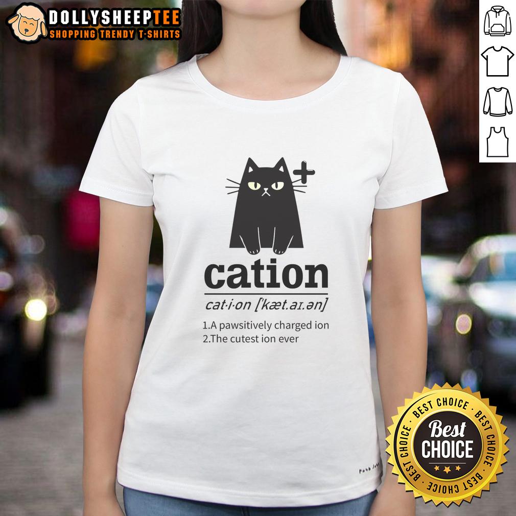 Nice Cation A Pawsitively Charged Ion The Cutest Ion Ever Cat Lover Ladies Tee Cute cat lover ladies tee featuring 'Nice-Cation: A Pawsitively Charged Ion' design, perfect for feline enthusiasts.