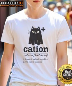 Nice Cation A Pawsitively Charged Ion Cat Lover T-Shirt featuring a cute cat graphic and playful text design.