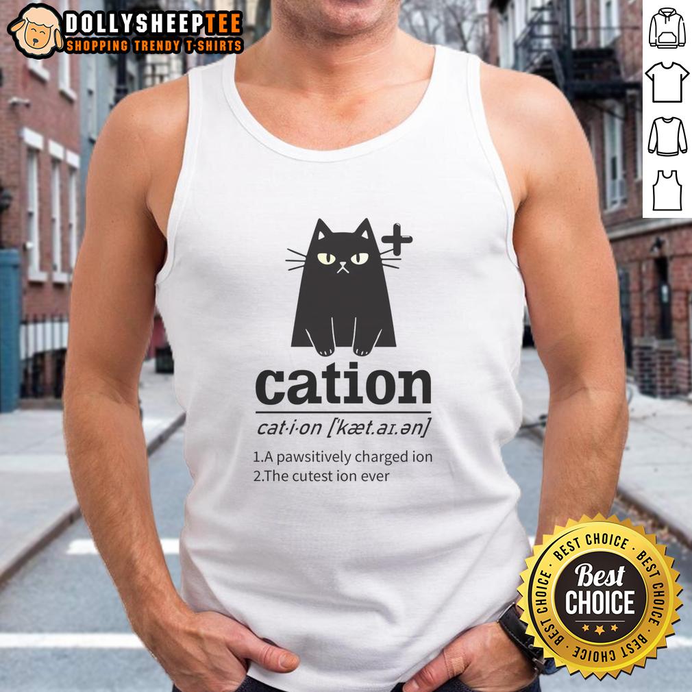 Nice Cation A Pawsitively Charged Ion The Cutest Ion Ever Cat Lover Tank Top Cute cat lover tank top featuring 'Nice-Cation: A Pawsitively Charged Ion' design, perfect for feline enthusiasts.
