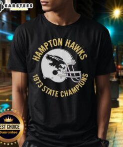 Nice Hampton Hawks 1973 State Champions helmet t-shirt featuring vintage design and team colors, perfect for fans.
