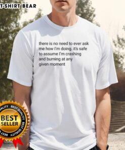 Funny meme T-shirt design featuring 'Nice There Is No Need To Ever Ask Me How I'M Doing IM Crashing And Burning' text.