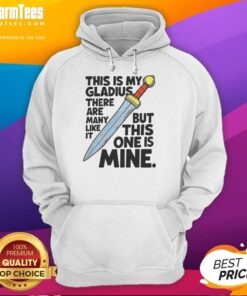Alt Text: Stylish hoodie featuring a gladius sword design with the text 'This Is My Gladius' for sword enthusiasts.