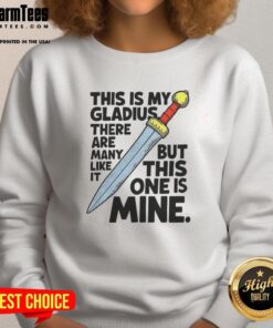 Nice sweatshirt featuring the phrase 'This Is My Gladius' with a sword graphic, perfect for sword enthusiasts.