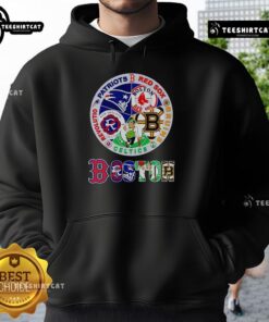 Premium Boston sports hoodie featuring Patriots, Red Sox, Bruins, Celtics, and Revolution logos for fans.