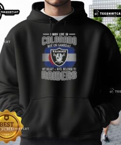 Alt Text: Premium Raiders hoodie for fans living in Colorado, showcasing team spirit on game day.