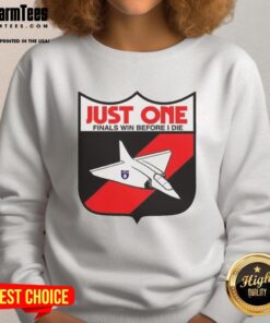 Alt Text: Premium Just One Finals Win Before I Die sweatshirt featuring a bold graphic design, perfect for sports fans.