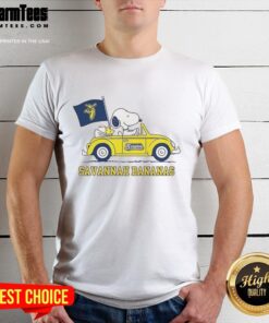Alt Text: Premium Snoopy and Woodstock Peanuts X Savannah Bananas baseball lover t-shirt featuring vibrant graphics and playful design.