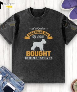 Miniature Schnauzer dog wearing a washed t-shirt with the phrase 'Not bought, he is recruited' on it.