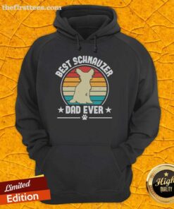 Vintage retro sunset hoodie featuring 'Top Best Schnauzer Dad Ever' design, perfect for proud Schnauzer owners.