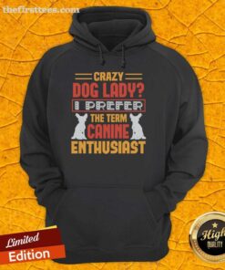 Alt Text: Cozy hoodie featuring Top Crazy Dog Lady, I Prefer Canine Enthusiast design, perfect for dog lovers and fans.