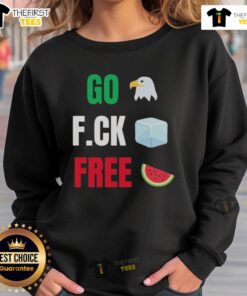 Top Go Fuck Free Go Birds Fuck Ice Free Palestine Shirt Hannah Einbinder Emmy T-Shirt - Image 4