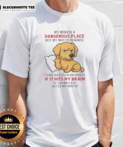 Top Golden My Mind Is A Dangerous Place But My Mouth Is Worse T-Shirt featuring bold typography on a stylish tee.