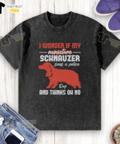 Alt Text: Miniature Schnauzer dog looking worried beside a washed T-shirt, pondering its next move in a playful scene.