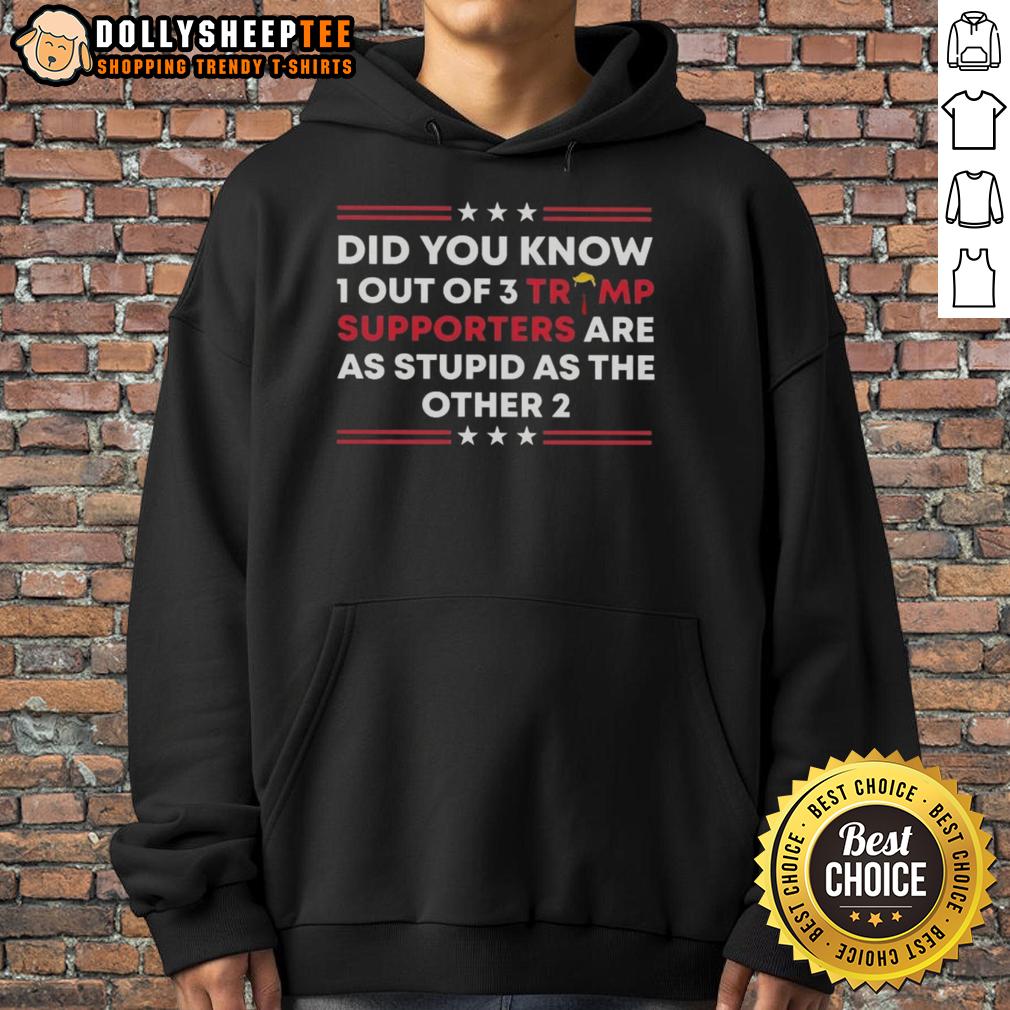 Official Did You Know 1 Out Of 3 Trump Supporters Are As Stupid As The Other 2 Hoodie Official hoodie featuring '1 Out of 3 Trump Supporters Are As Stupid As The Other 2' design for political humor.