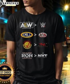 Official AEW WWE CMLL AAA NJPW TNA ROH NXT 2025 T-Shirt featuring logos of top wrestling promotions.