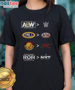 Original More Comparative AEW WWE CMLL AAA NJPW TNA ROH NXT 2025 Ladies Tee featuring wrestling logos and vibrant design.