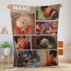 Top Disney Bao Pixar Short Film Blanket Fleece Customized Blanket