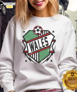 Good Wales Qatar soccer sweatshirt featuring bold graphics and vibrant colors, perfect for fans and casual wear.