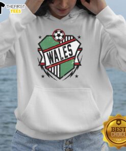 Good Wales Qatar soccer hoodie featuring vibrant colors and a sporty design, perfect for fans supporting their team.