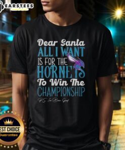 Alt Text: Awesome Dear Santa t-shirt featuring 'All I Want Is For The Charlotte Hornets To Win The Championship' design.