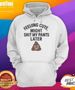 Awesome Feeling Cute Might Sh*t My Pants Later Hoodie in vibrant colors, perfect for casual wear and fun outings.