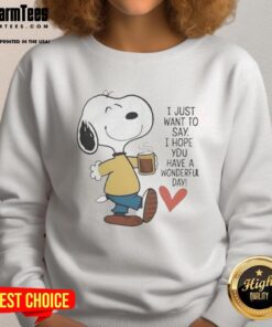 Cozy 'Awesome I Just Want to Say I Hope You Have a Wonderful Day' sweatshirt in soft fabric, perfect for casual wear.