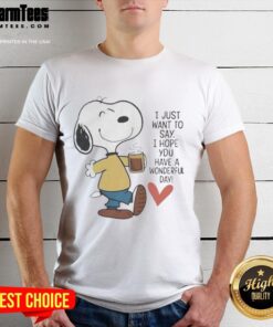 Alt Text: Awesome I Just Want To Say I Hope You Have A Wonderful Day T-Shirt design with cheerful typography and vibrant colors.