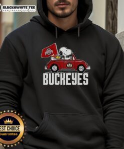 Snoopy and Woodstock driving a car with an Ohio State Buckeyes flag, wearing an Awesome hoodie.