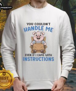 Alt Text: Cute pig graphic on a cozy sweatshirt with the phrase You Couldn't Handle Me Even If I Came With Instructions.