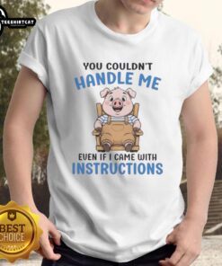 Alt Text: Cute pig graphic on a t-shirt with the phrase You Couldn't Handle Me Even If I Came With Instructions.
